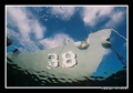   She Was Once Warship Former RAN Charles Adams Class airwarfare destroyer HMAS Perth Pennant number DDG38 awaits her fate dive wreck Albanys West AustraliaKing George Sound.Nikonos 15mm wide lens Kodak Ektachrome 100ASA. air-warfare air warfare DDG-38 DDG 38 SoundNikonos Sound Nikonos 100ASA  